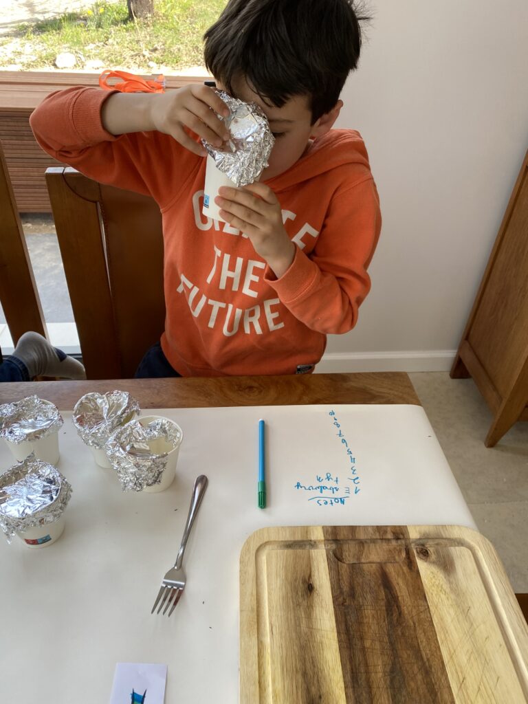 Food School-  Sensory Food Education